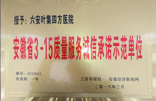 安徽省3.15质量服务城信承诺示范单位